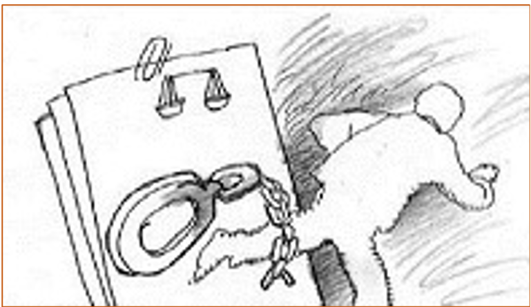 قرار موقوفی تعقیب